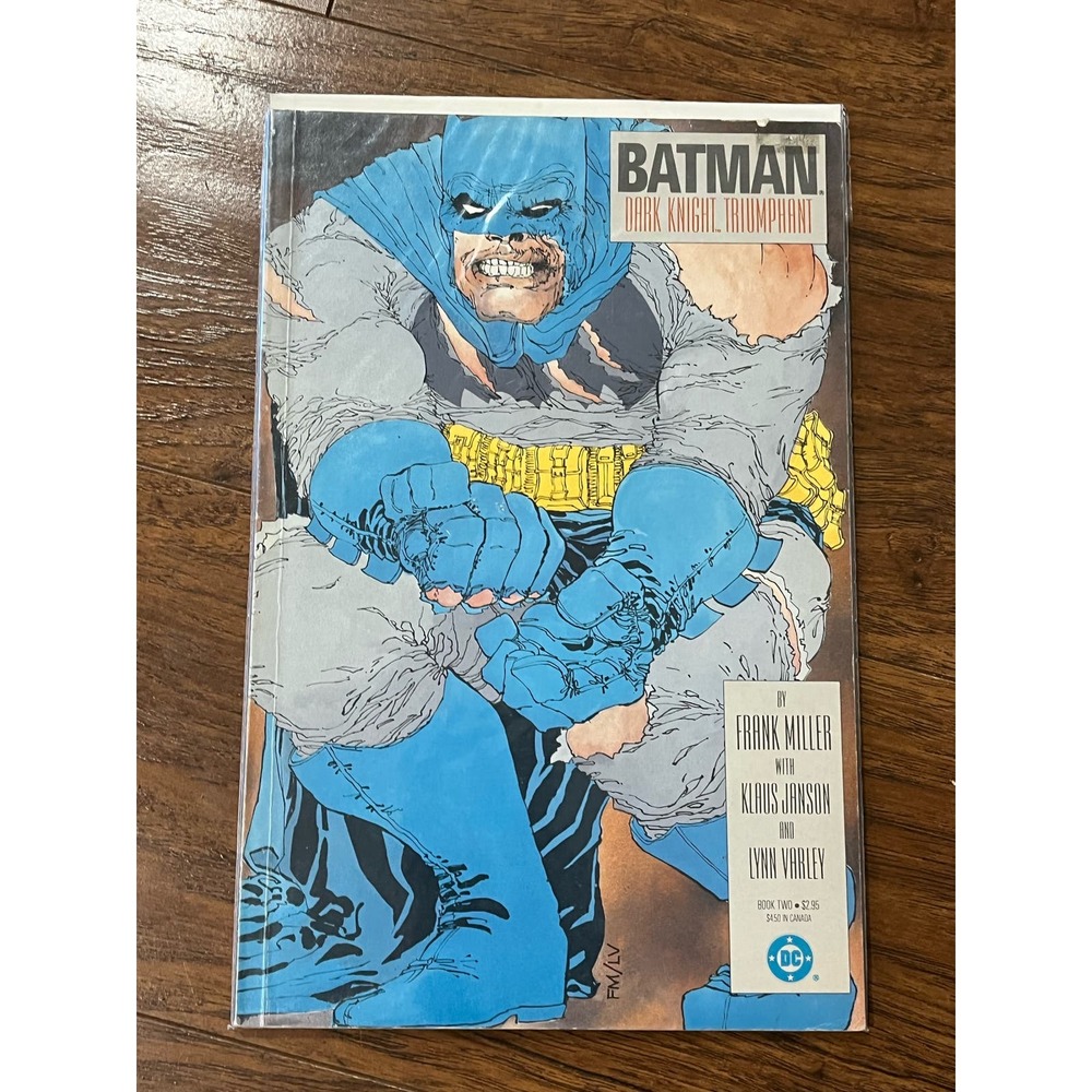 Batman Dark Knight Triumphant Comic